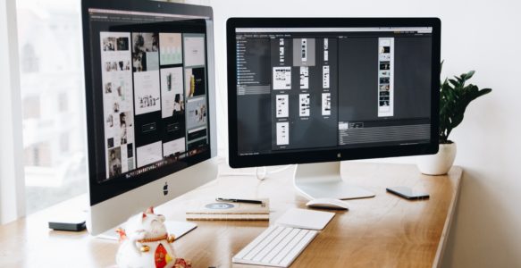 Web Development and Management